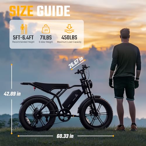 Electric Bike for Adults, 1500W Peak Brushless Motor, 28 MPH, 60 Miles, Fat Tire L32113