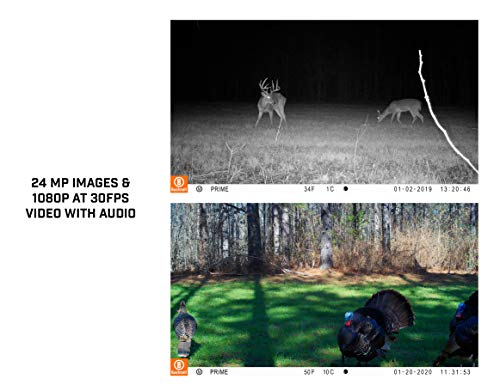Trail Camera 24MP 1080p HD Night Vision W8684