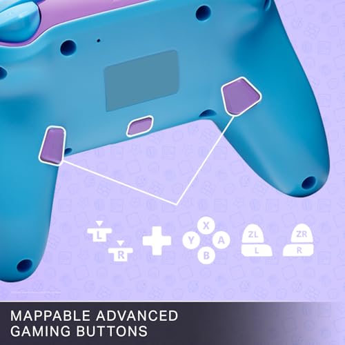 Wireless Switch Controller with Motion Control, Rechargeable Y827527