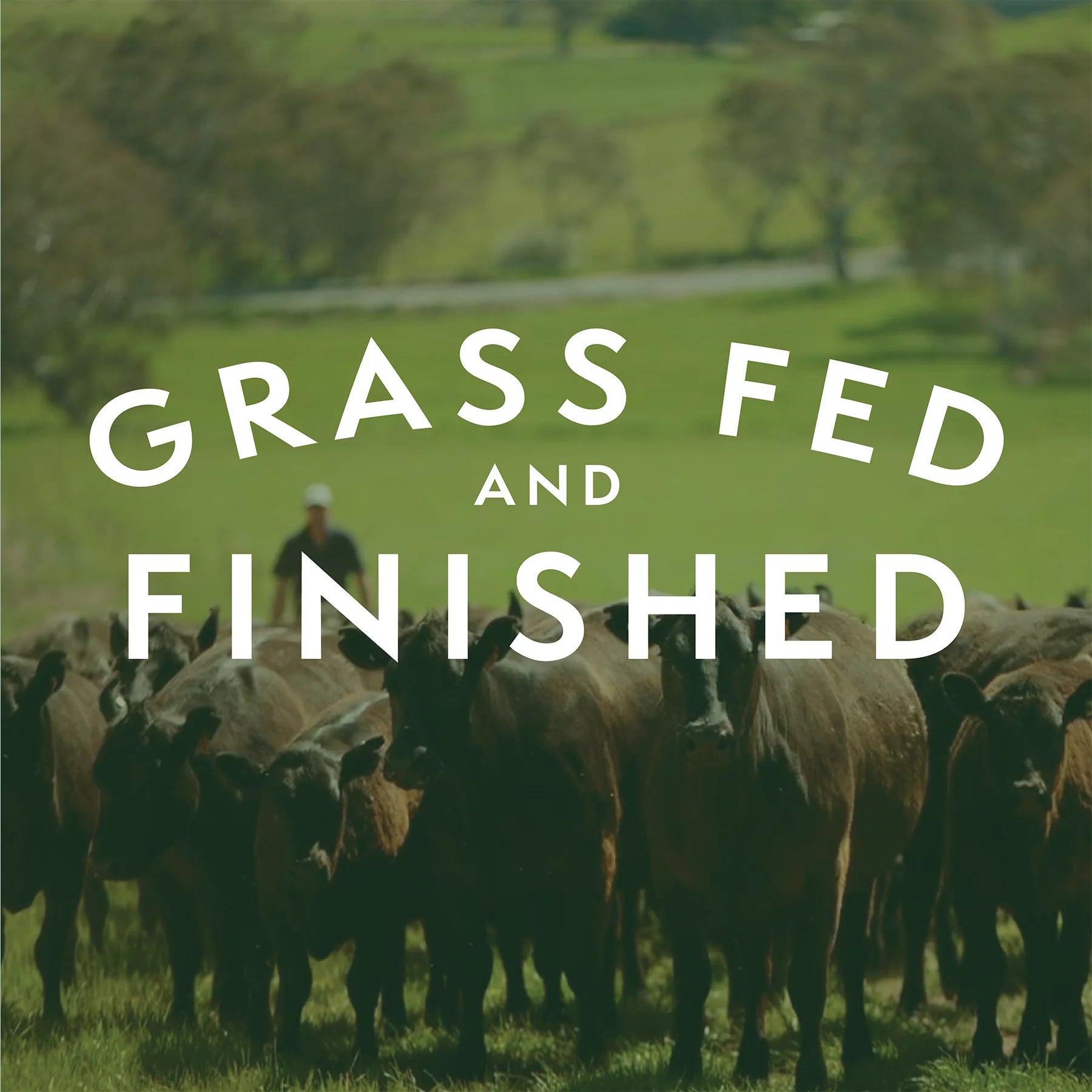 Grass Fed Ground Beef 85/15, 12 lb Packages K520781