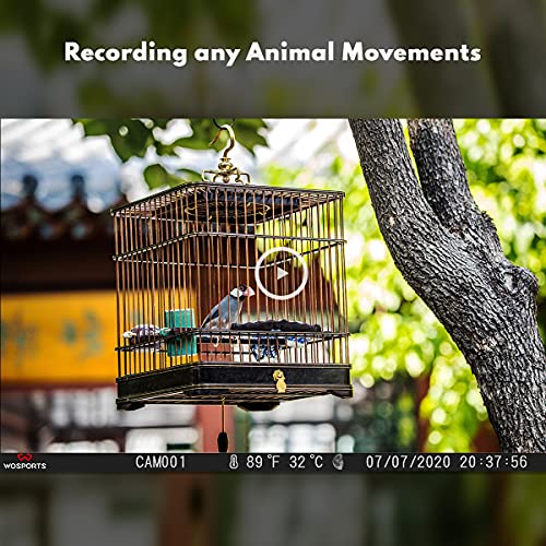 Mini Trail Camera 2 Pack 24MP 1080P HD with Night Vision Motion Activated R631