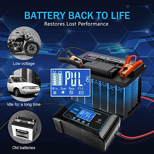 20 Amp Lithium Battery Charger, 12V and 24V Lifepo4, Lead-Acid Portable Car Battery Charger R763