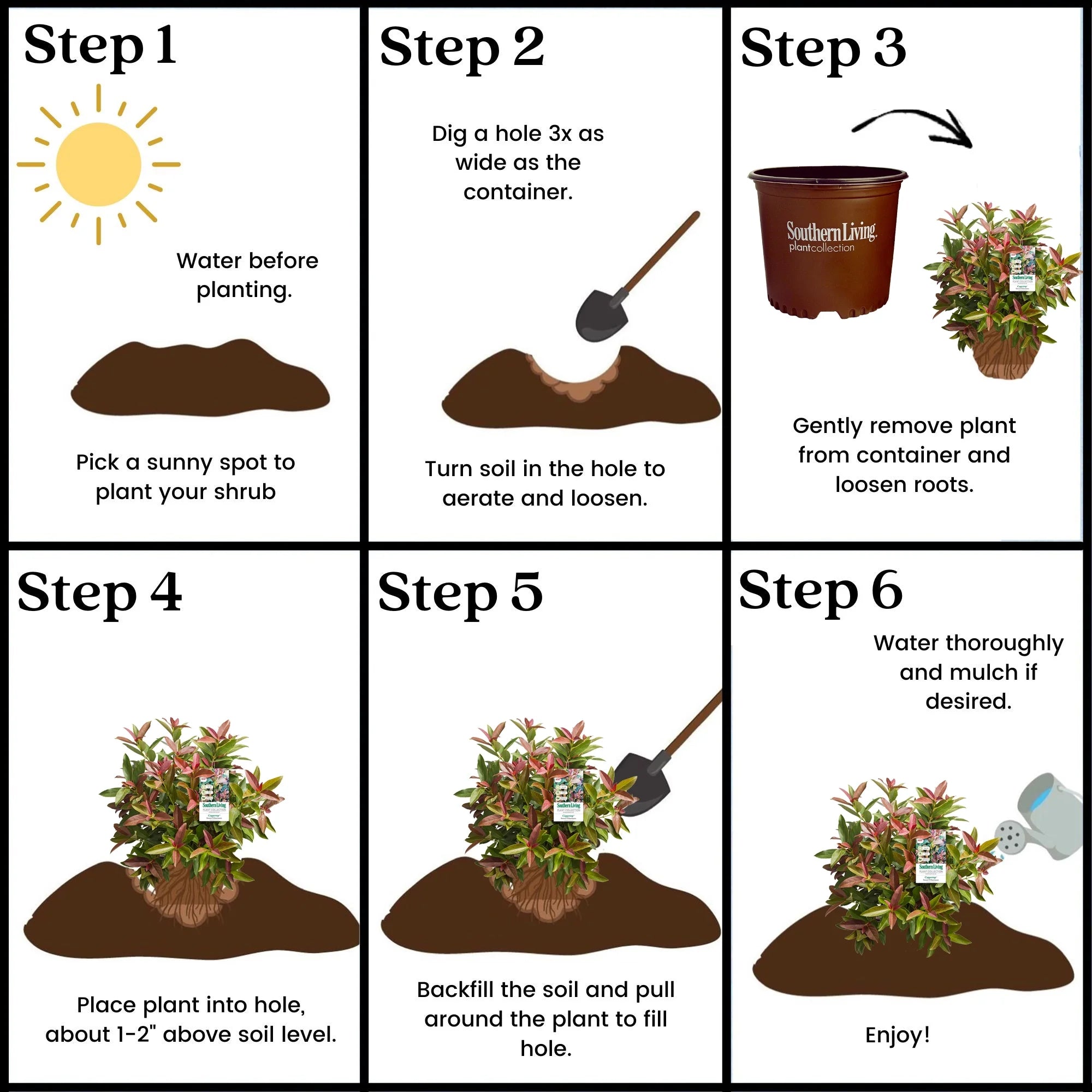 Viburnum Copper Top Live Shrub (2 Gallon) P873959