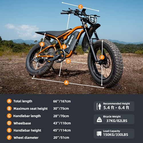 Adult Electric Bike 20" Fat Tire 1200W Motor 48V 7-Speed Dual Disc Brakes M663871