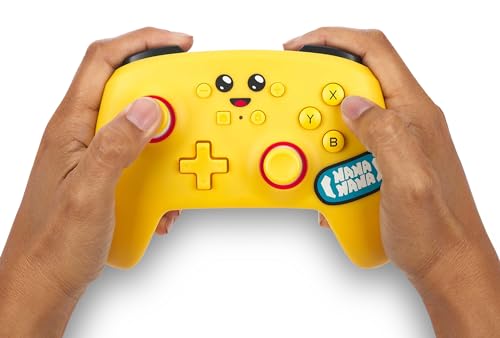 Wireless Switch Controller with Motion Control, Rechargeable Y827527