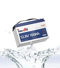 12V 100Ah LiFePO4 Marine Battery with Low-Temp Protection and 100A BMS X724