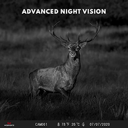 Mini Trail Camera 2 Pack 24MP 1080P HD with Night Vision Motion Activated R631