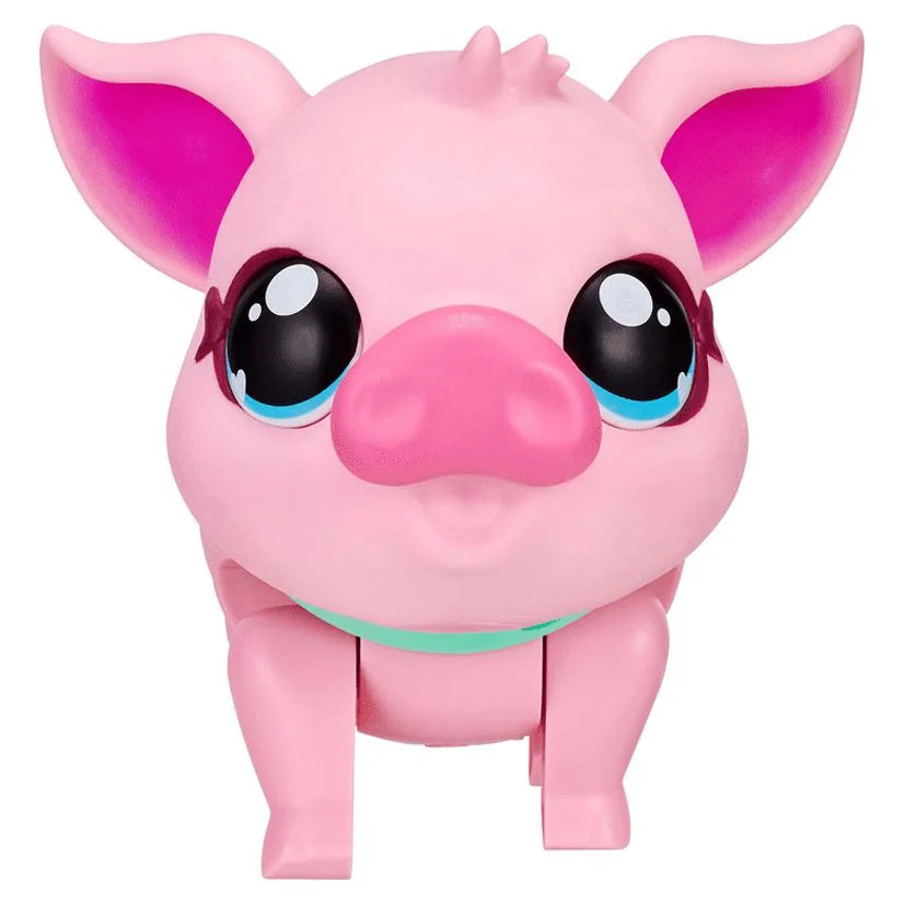 My Pet Pig Z99996