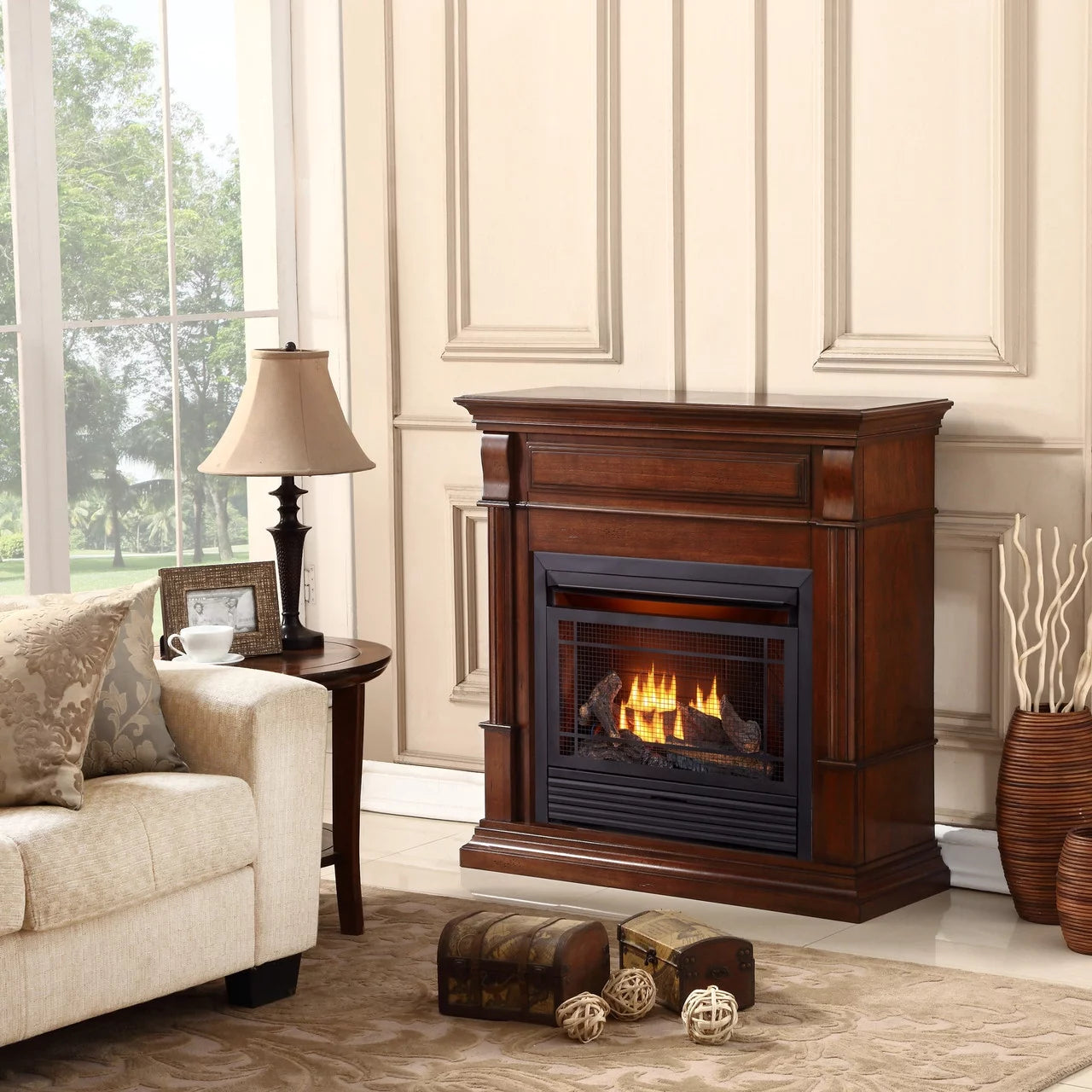Dual Fuel Ventless Gas Fireplace with Remote Control C248