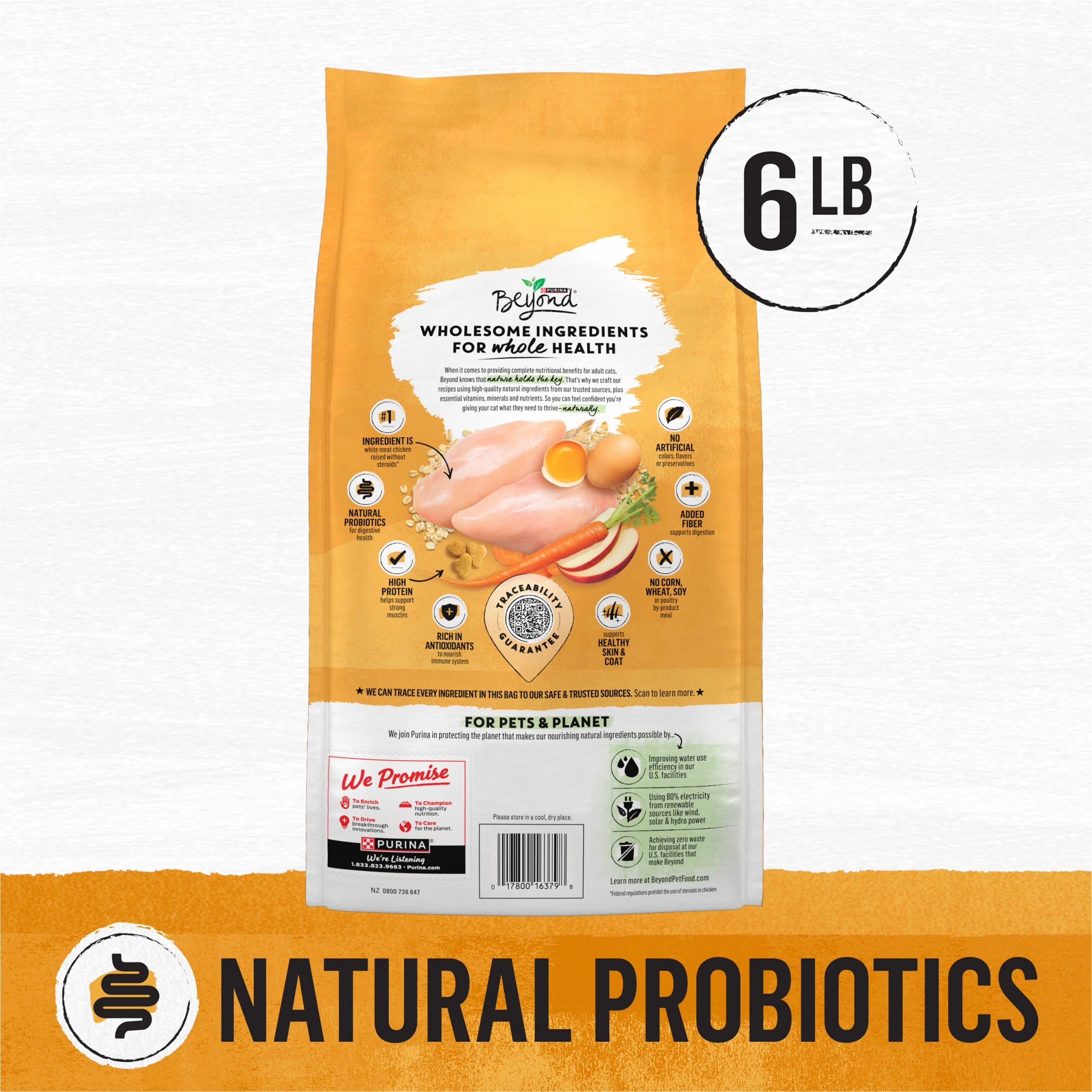 Natural Dry Cat Food with White Meat Chicken and Whole Oat Meal, 6 lb. Bag F811