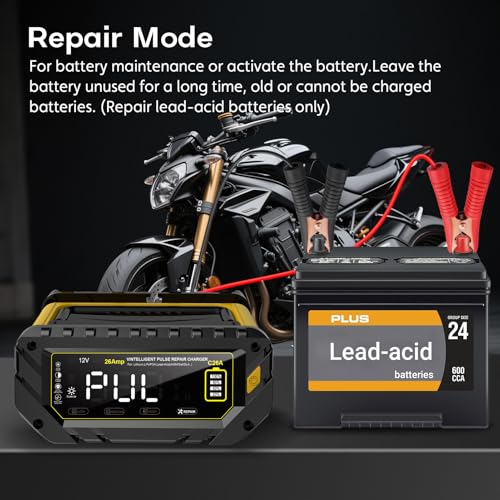 12V 24V 10-Stage Smart Battery Charger and Maintainer B154