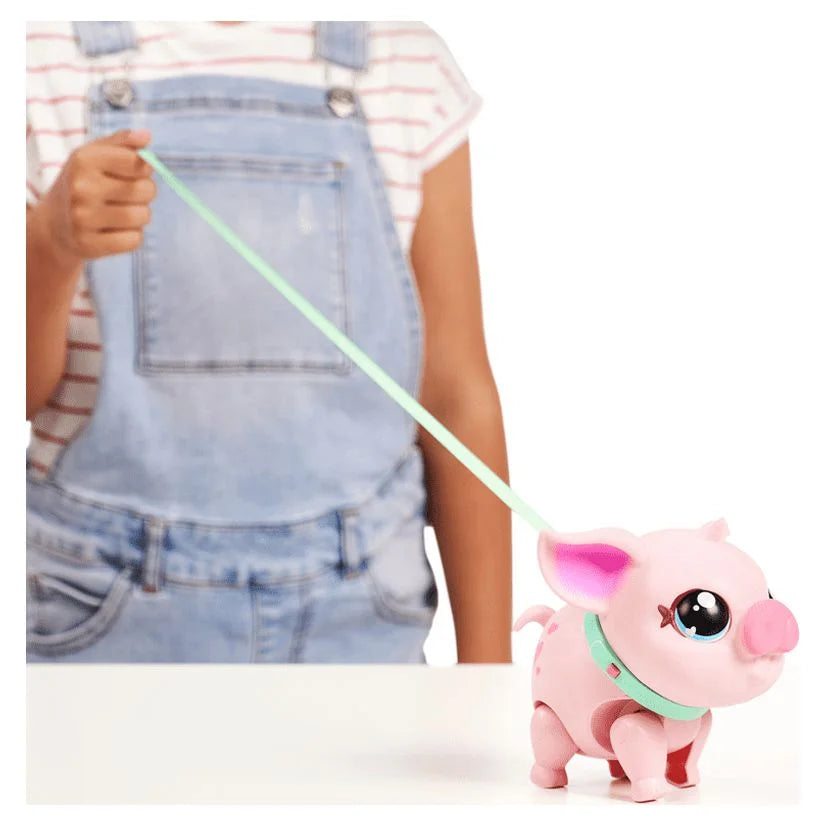 My Pet Pig Z99996