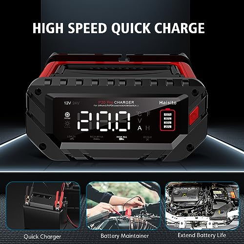 20 Amp Lithium Battery Charger, 12V and 24V Lifepo4, Lead-Acid Portable Car Battery Charger R763