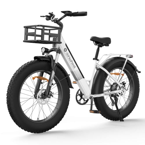 Electric Bike for Adults 750W 28mph with Removable Battery and Fat Tire N46855