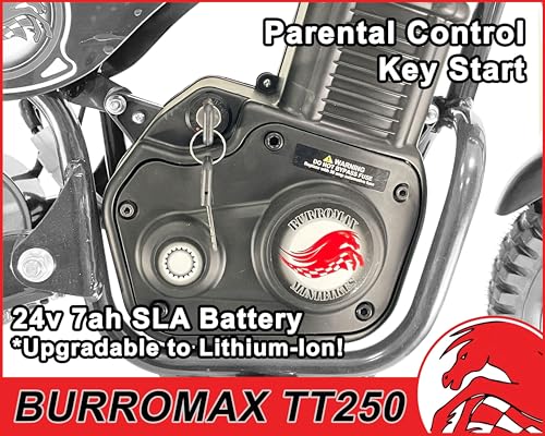Electric Dirt Bike for Kids, 250W 24V, 14 Mph, Off-Road Mini Bike A80721