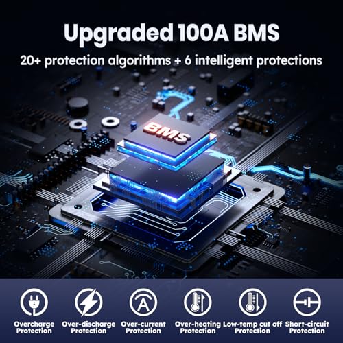 12V 100Ah LiFePO4 Marine Battery with Low-Temp Protection and 100A BMS X724