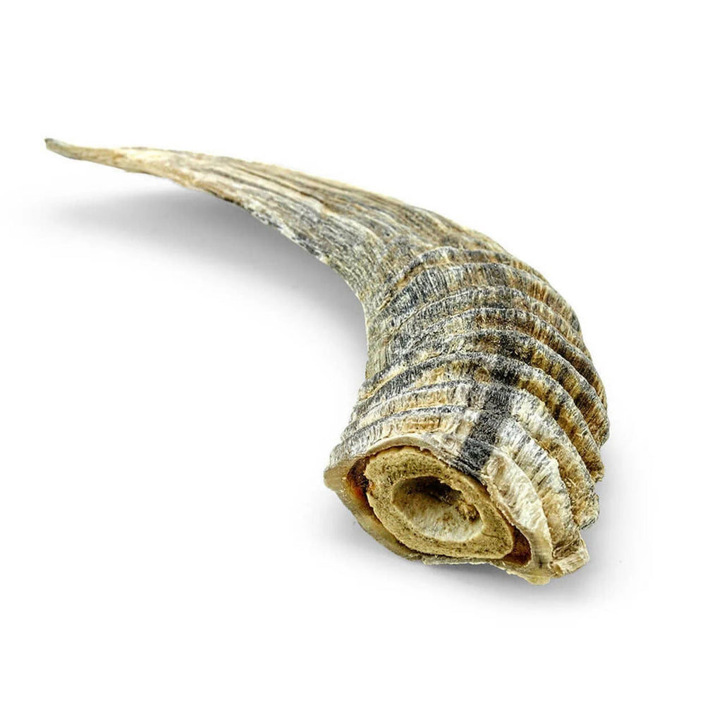 Lamb Horn Dog Chew, Assorted Sizes B91330
