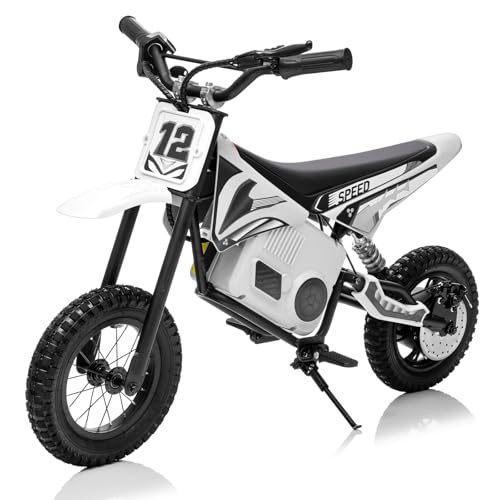 Electric Dirt Bike for Kids 8-14, 16MPH Off-Road Motorcycle with Twist Grip Throttle B563