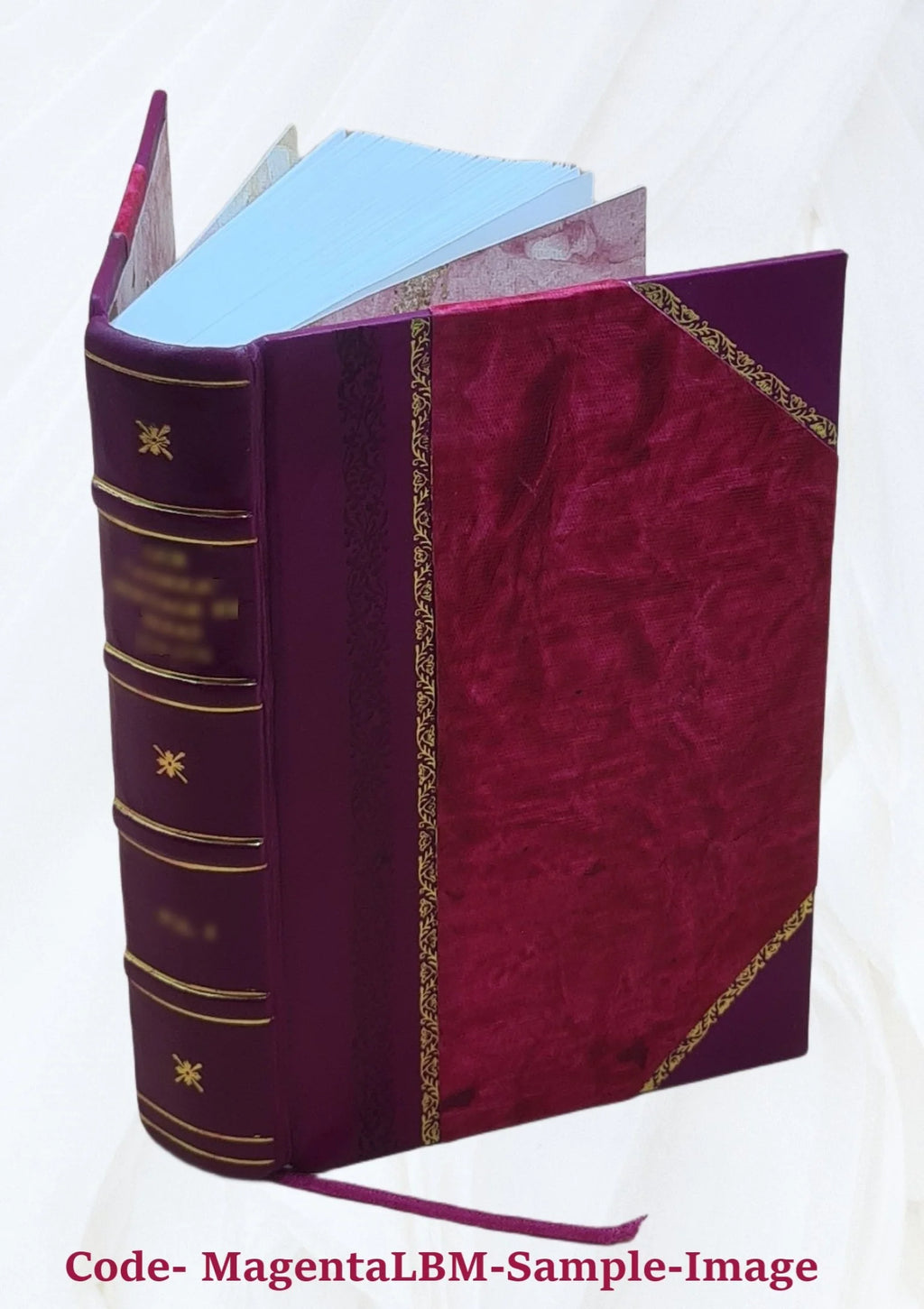Diccionario Francés-Español y Español-Francés, edición 1870 U73531