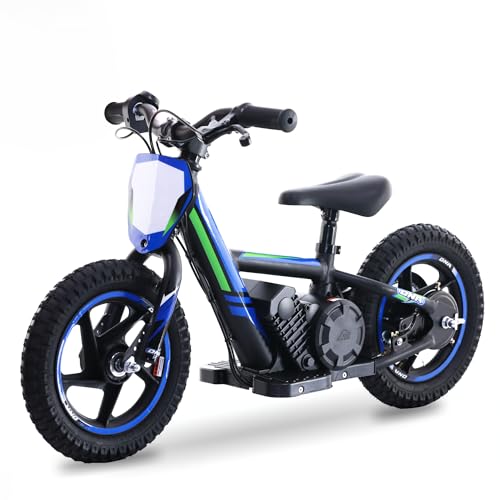 Electric Dirt Bike for Kids Aged 3-6, 170W Motor, 24V Battery, 12IN Tires M30914
