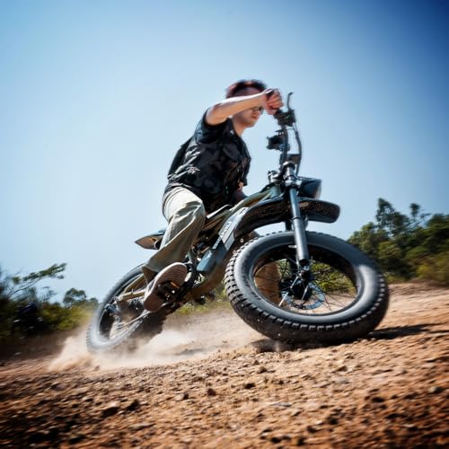Adult Electric Bike 20" Fat Tire 1200W Motor 48V 7-Speed Dual Disc Brakes M663871