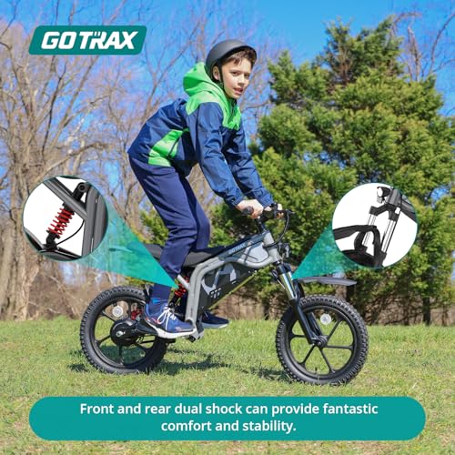 Electric Dirt Bike, 16" Pneumatic Tires, 15.5 Mph, 300W Brushless Motor M810