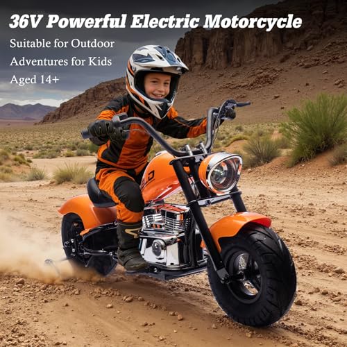 Electric Dirt Bike for Kids 14+, 360W Motor, 15.5 MPH, Gray D8115