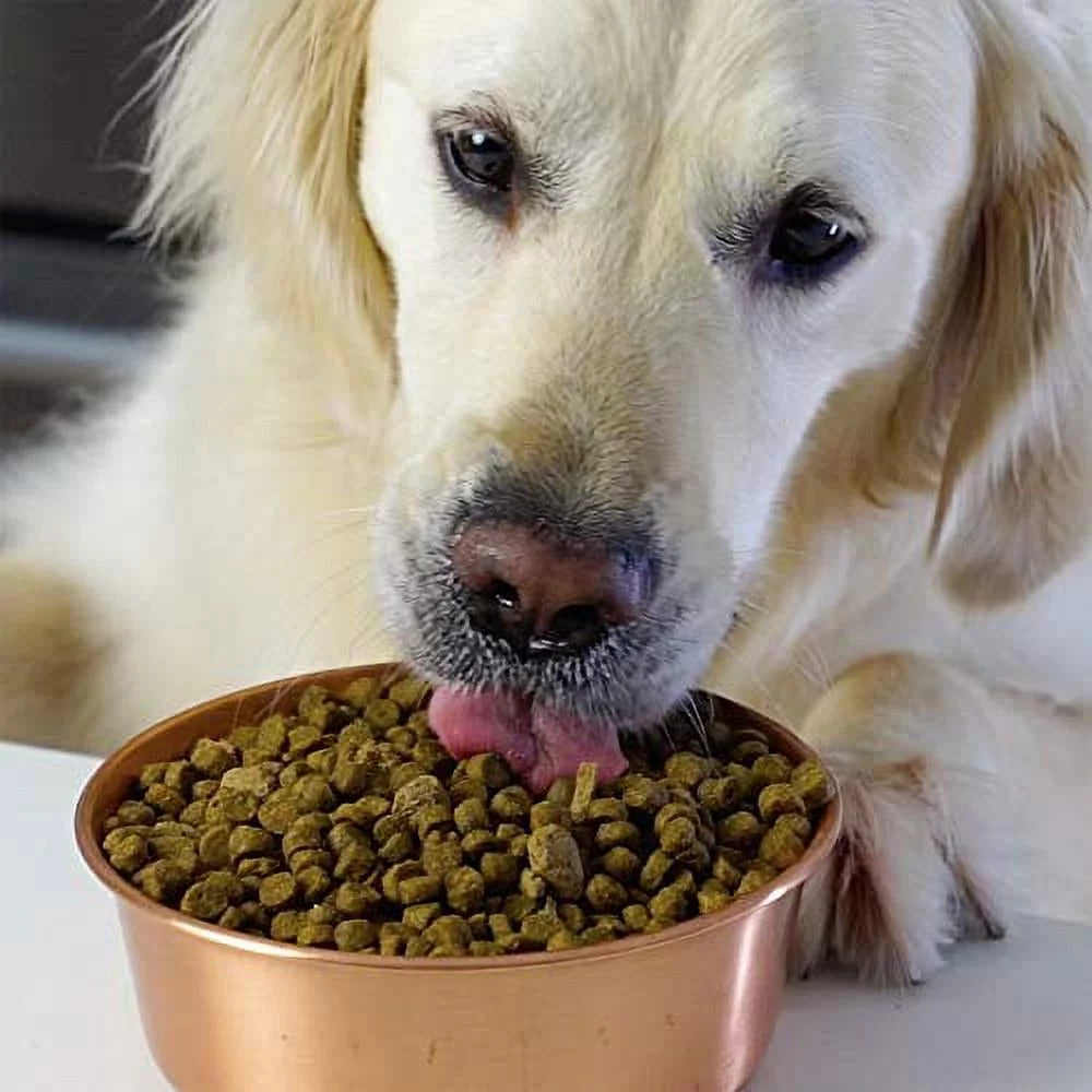 Grass-Fed Beef & Ancient Grains Dry Dog Food, 4 lbs M21507