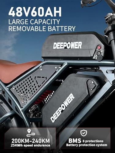 Electric Bike for Adults, 1500W Motor, 30 MPH, Fat Tire, 20 Inch V69186