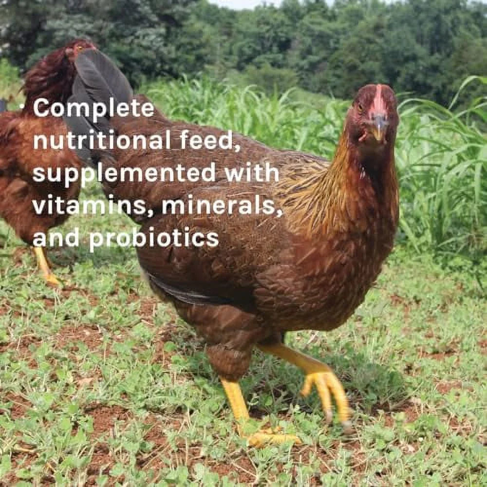 Wheat-Free Chicken Layer Feed for Hens, 17% Protein, 25 lbs M26180