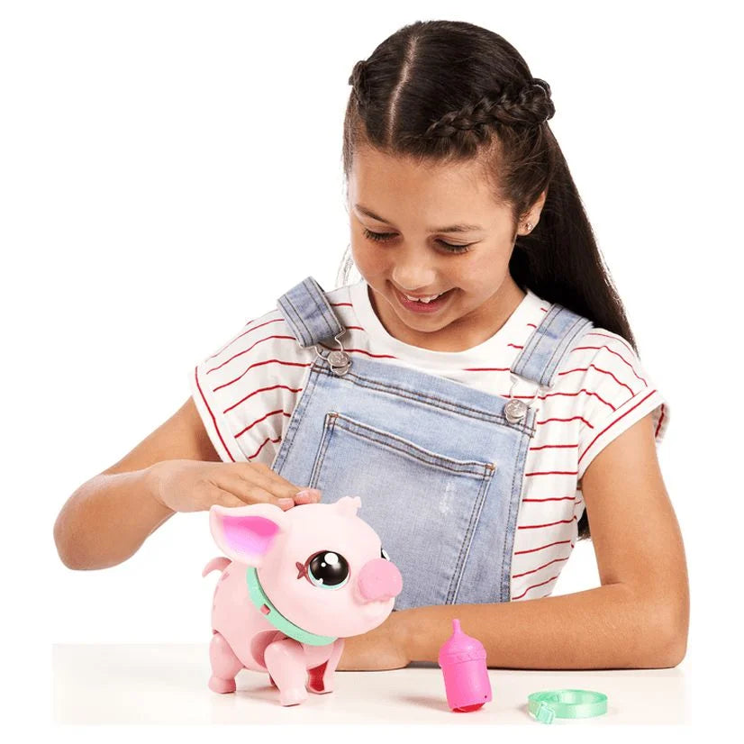 My Pet Pig Z99996