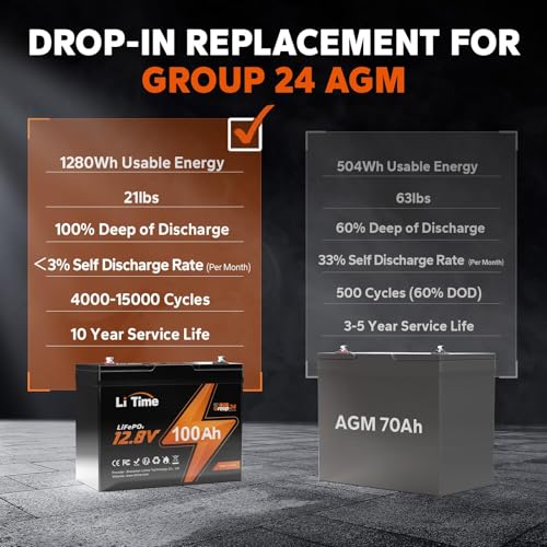 12V 100Ah LiFePO4 Battery Group 31 with Built-in 100A BMS N133