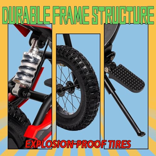 Electric Dirt Bike for Kids 8-14, 16MPH Off-Road Motorcycle with Twist Grip Throttle B563