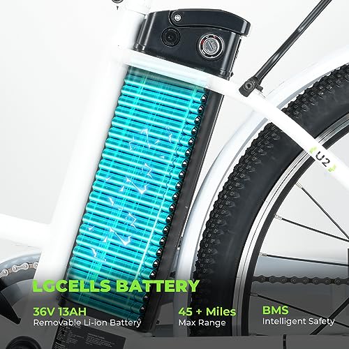 Electric Bike for Adults 750W 28mph with Removable Battery and Fat Tire N46855