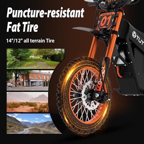 Electric Dirt Bike 48V 21AH Removable Battery Hydraulic Brakes R6234