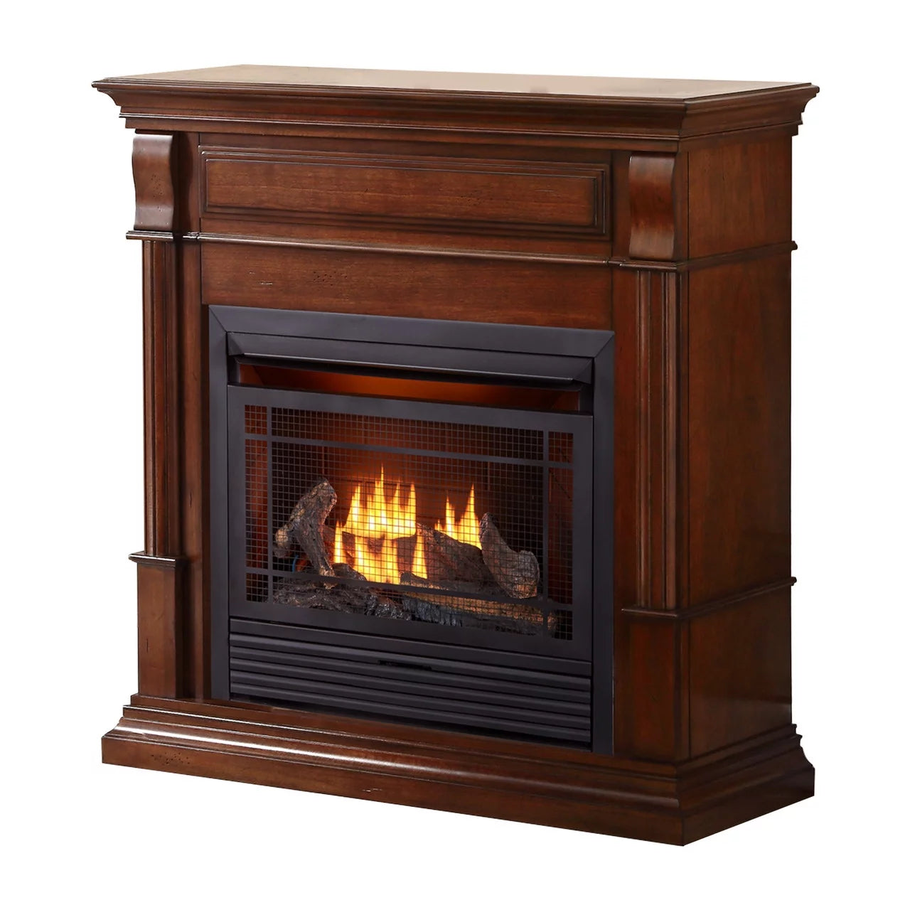 Dual Fuel Ventless Gas Fireplace with Remote Control C248