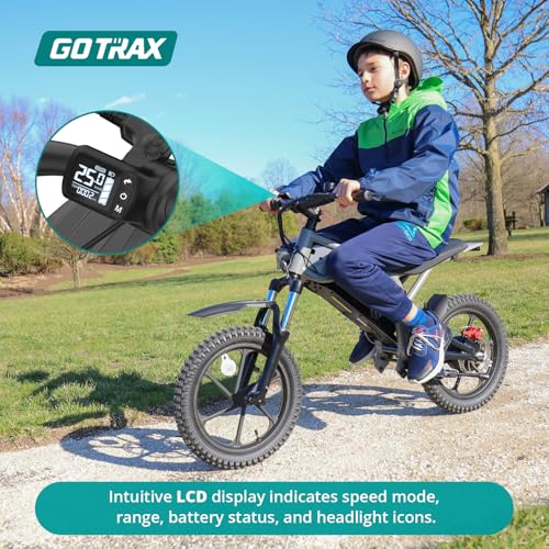 Electric Dirt Bike, 16" Pneumatic Tires, 15.5 Mph, 300W Brushless Motor M810