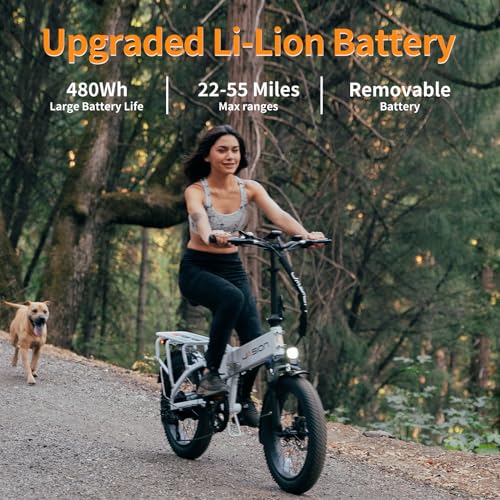Folding Electric Bike for Adults, 1200W Peak Motor, 28MPH Max Speed, 48V 10AH Removable Battery, 20" Fat Tire M840673