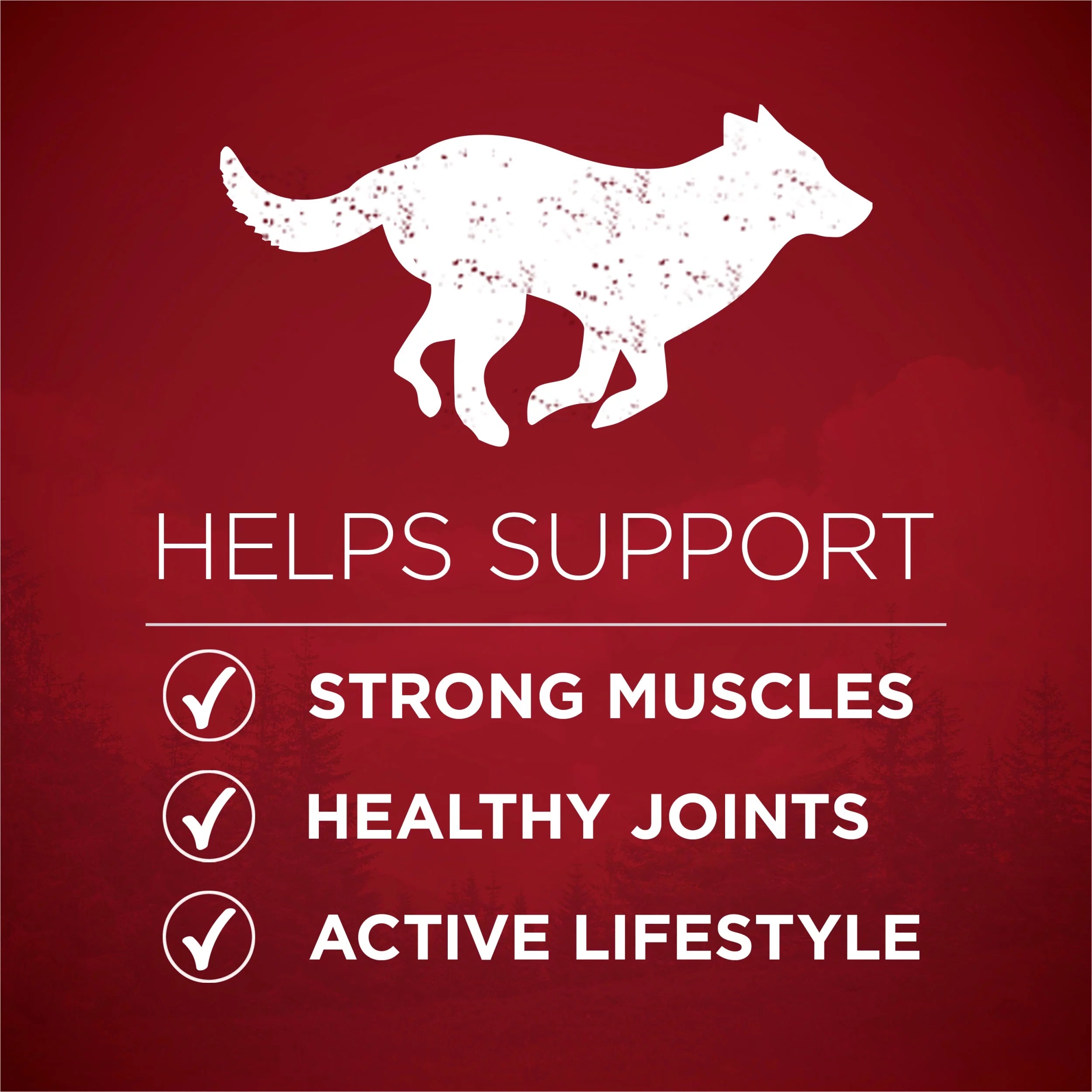 Natural High Protein Dog Food with Real Beef and Salmon V273291