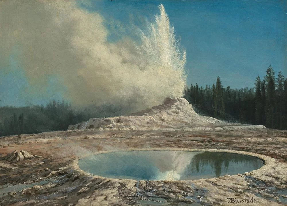 Geyser Yellowstone Park 14x11 White Modern Wood Framed Art Print U554199