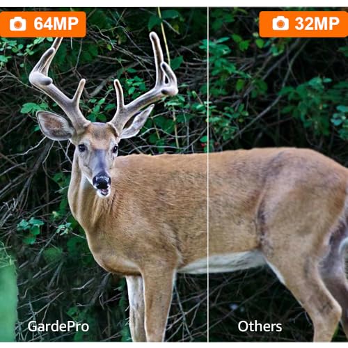 Trail Camera, 64MP 1296p, No Glow Night Vision, Motion Activated Waterproof B8160
