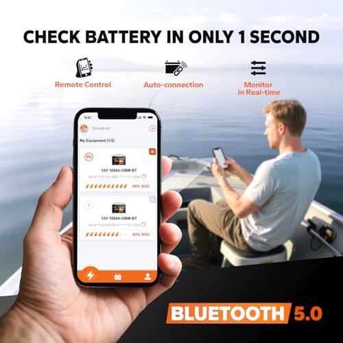 12V 100Ah LiFePO4 Battery Group 31 with Built-in 100A BMS N133