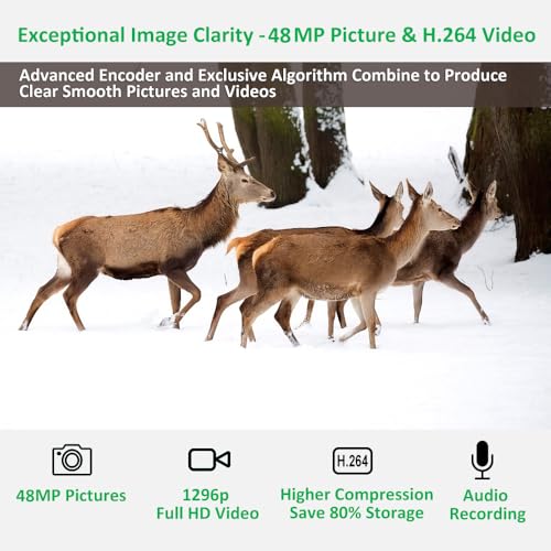 Trail Camera, 64MP 1296p, No Glow Night Vision, Motion Activated Waterproof B8160