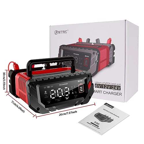 20 Amp Lithium Battery Charger, 12V and 24V Lifepo4, Lead-Acid Portable Car Battery Charger R763