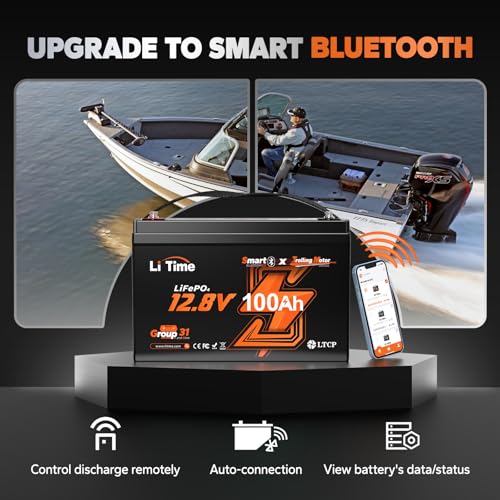 12V 100Ah LiFePO4 Battery Group 31 with Built-in 100A BMS N133