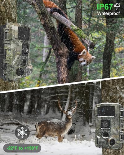 4K 64MP WiFi Trail Camera with Night Vision and 64GB Card Q234