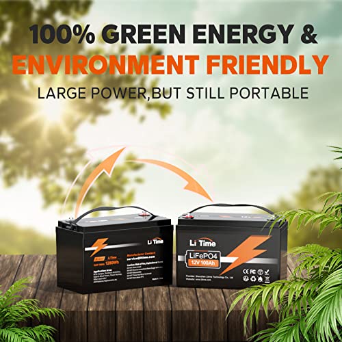 12V 100Ah LiFePO4 Battery Group 31 with Built-in 100A BMS N133