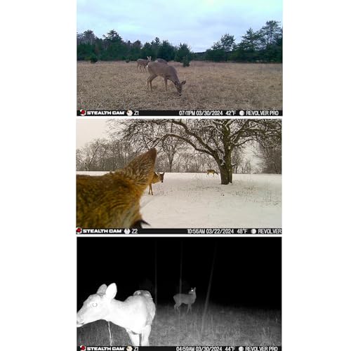 Hunting Cellular Trail Camera 36MP 1080P Video 360-Degree Panoramic View H633