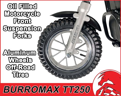 Electric Dirt Bike for Kids, 250W 24V, 14 Mph, Off-Road Mini Bike A80721