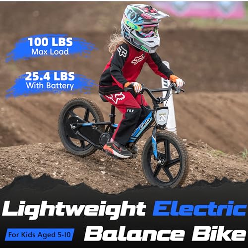 Electric Dirt Bike for Kids Aged 3-6, 170W Motor, 24V Battery, 12IN Tires M30914